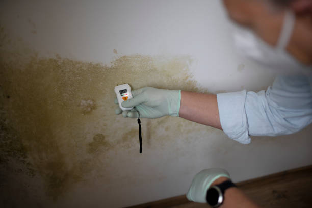 Asbestos and Lead Testing During Mold Inspection